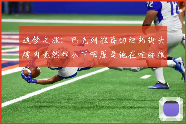 追梦之旅：巴克利推荐的纽约街头烤肉竟然难以下咽原是他在吃狗粮
